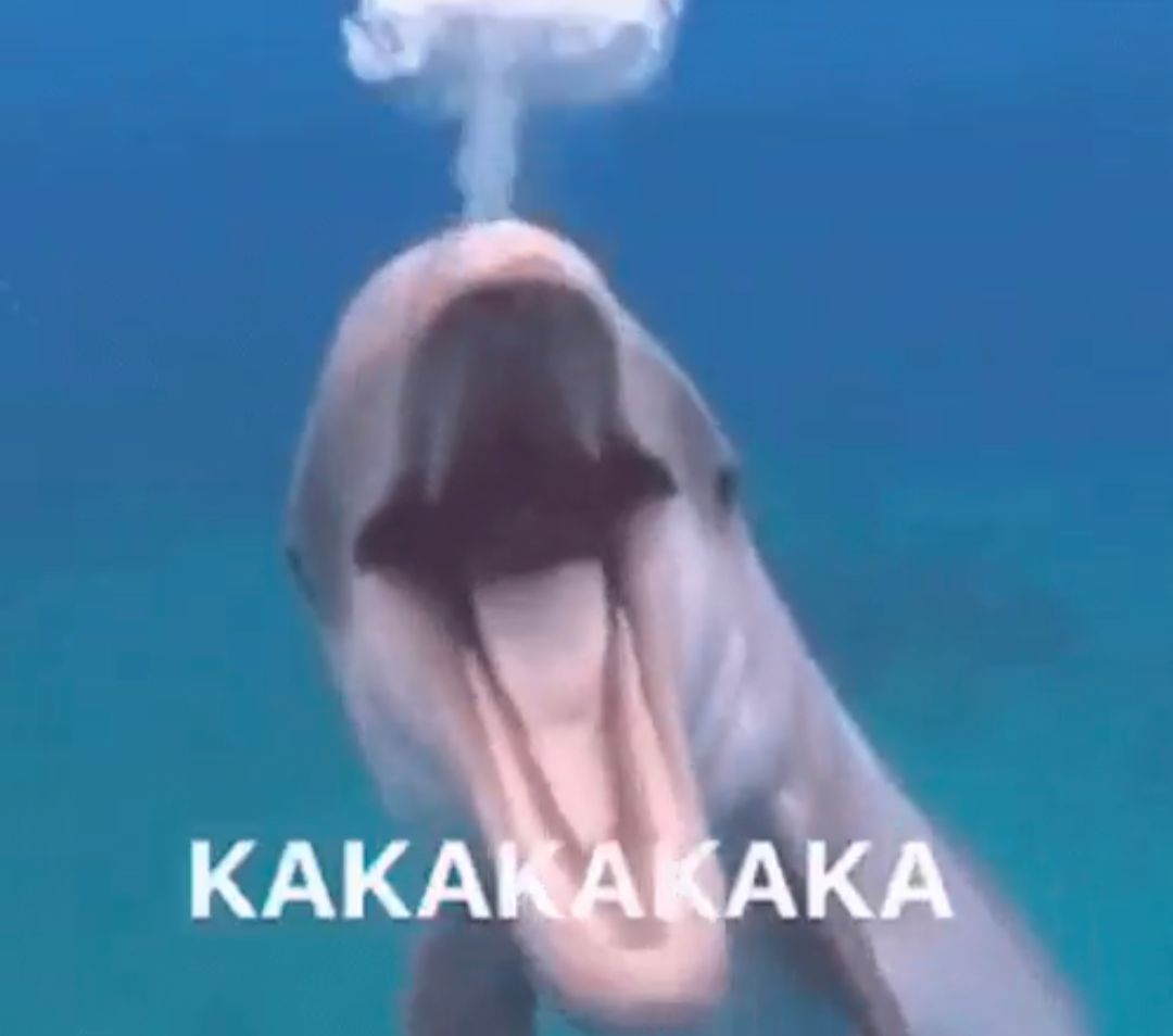 KAKAKAKA