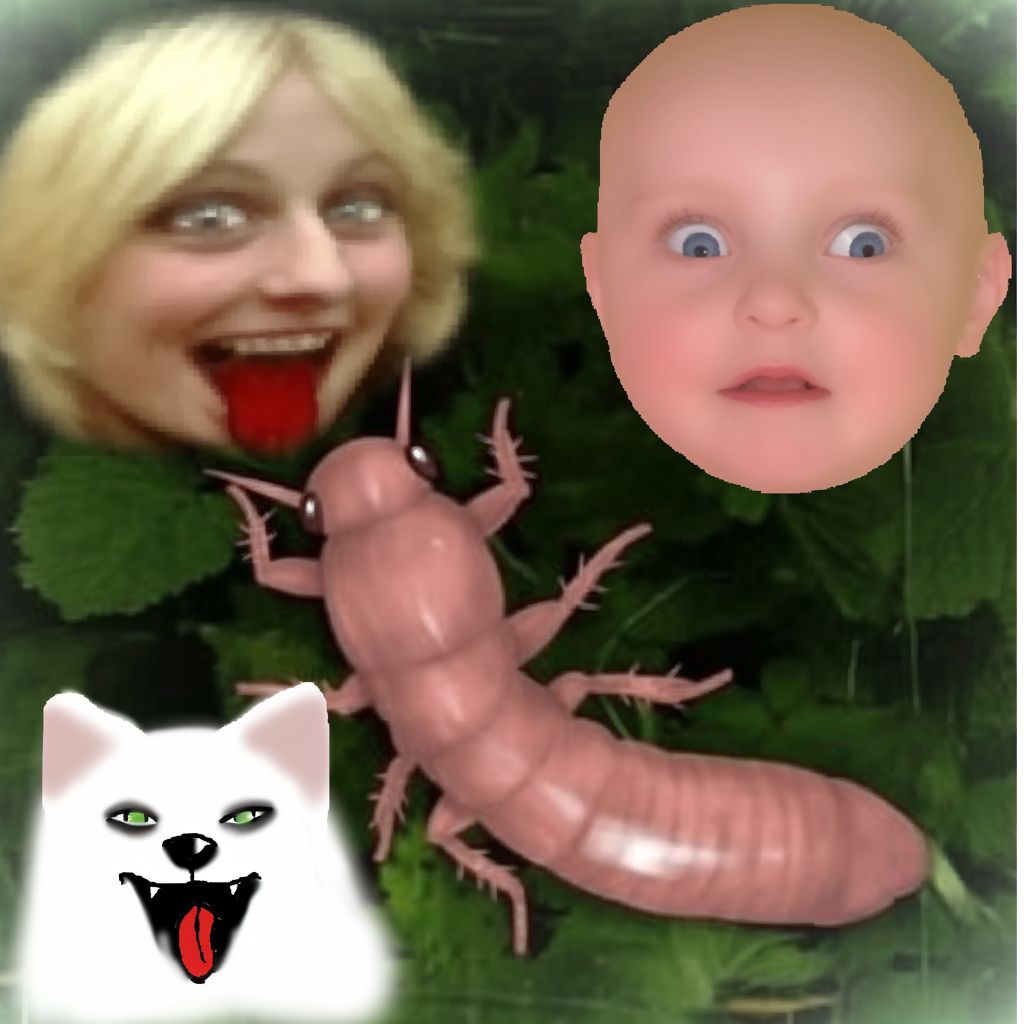 👶🐈🐛🤪