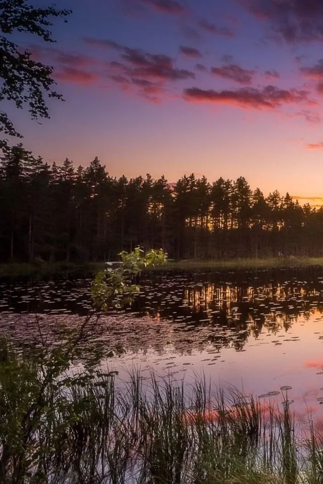 Lake in Finland