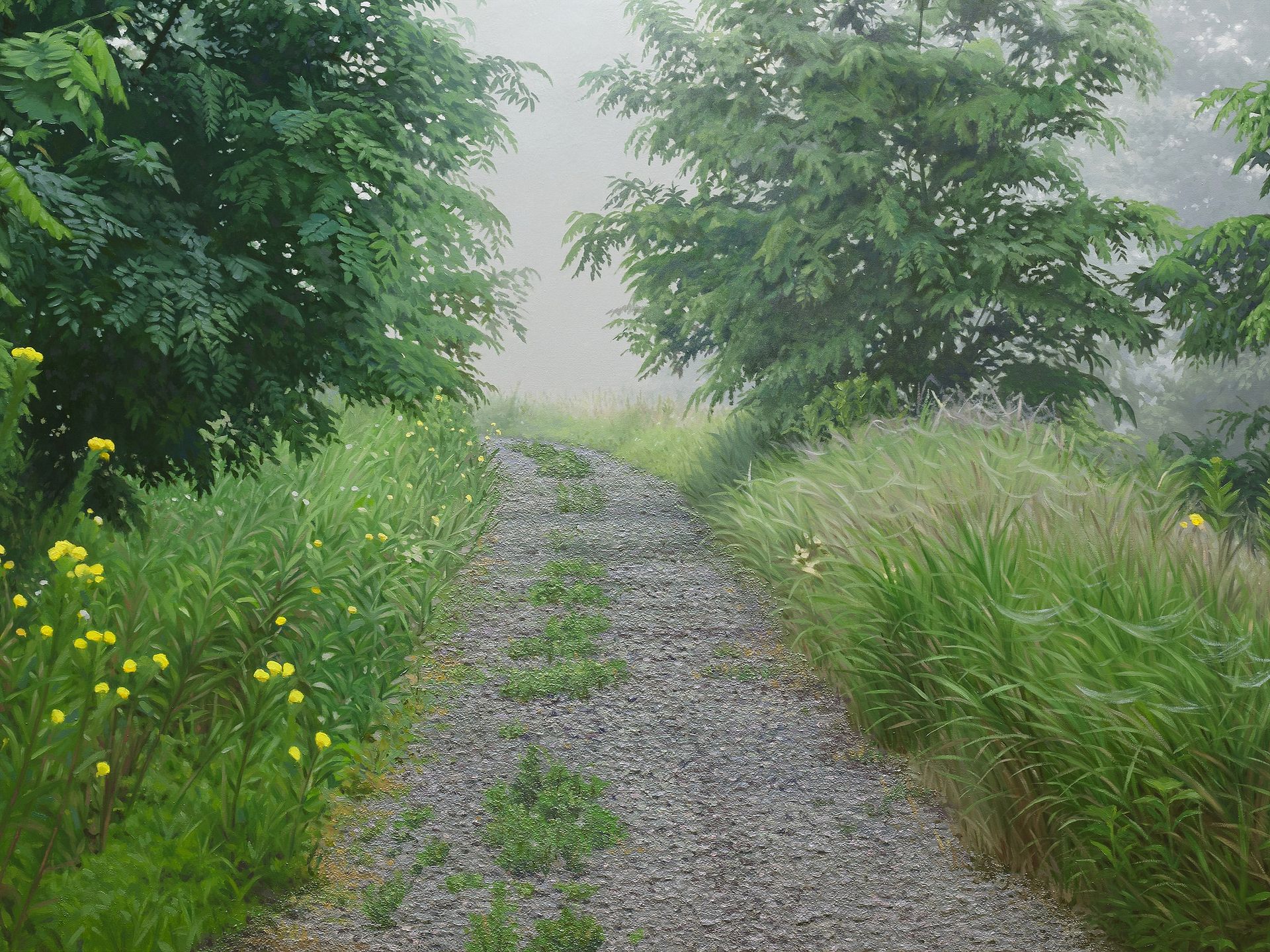 Trails of the Foggy Upo swamp