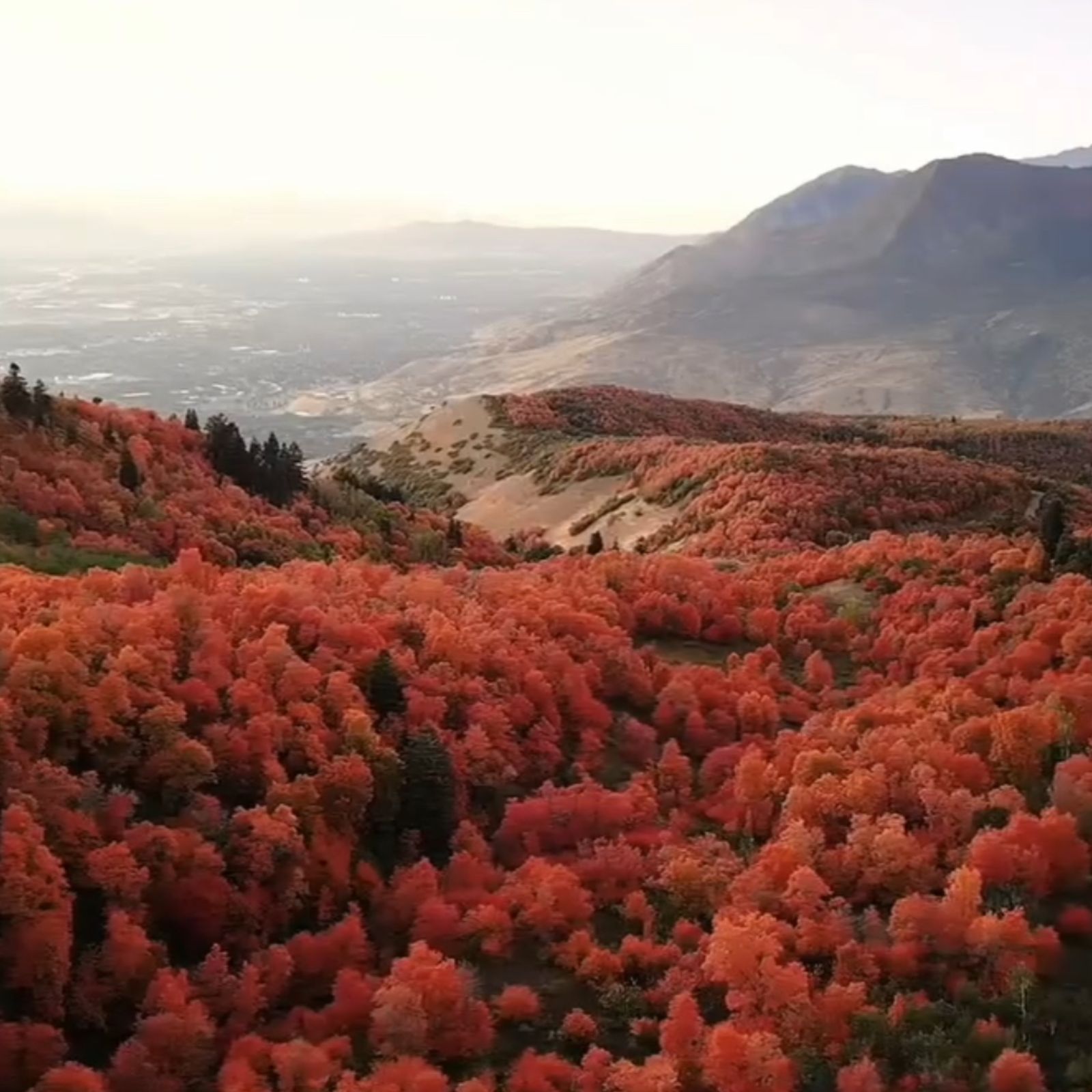 Mountains 