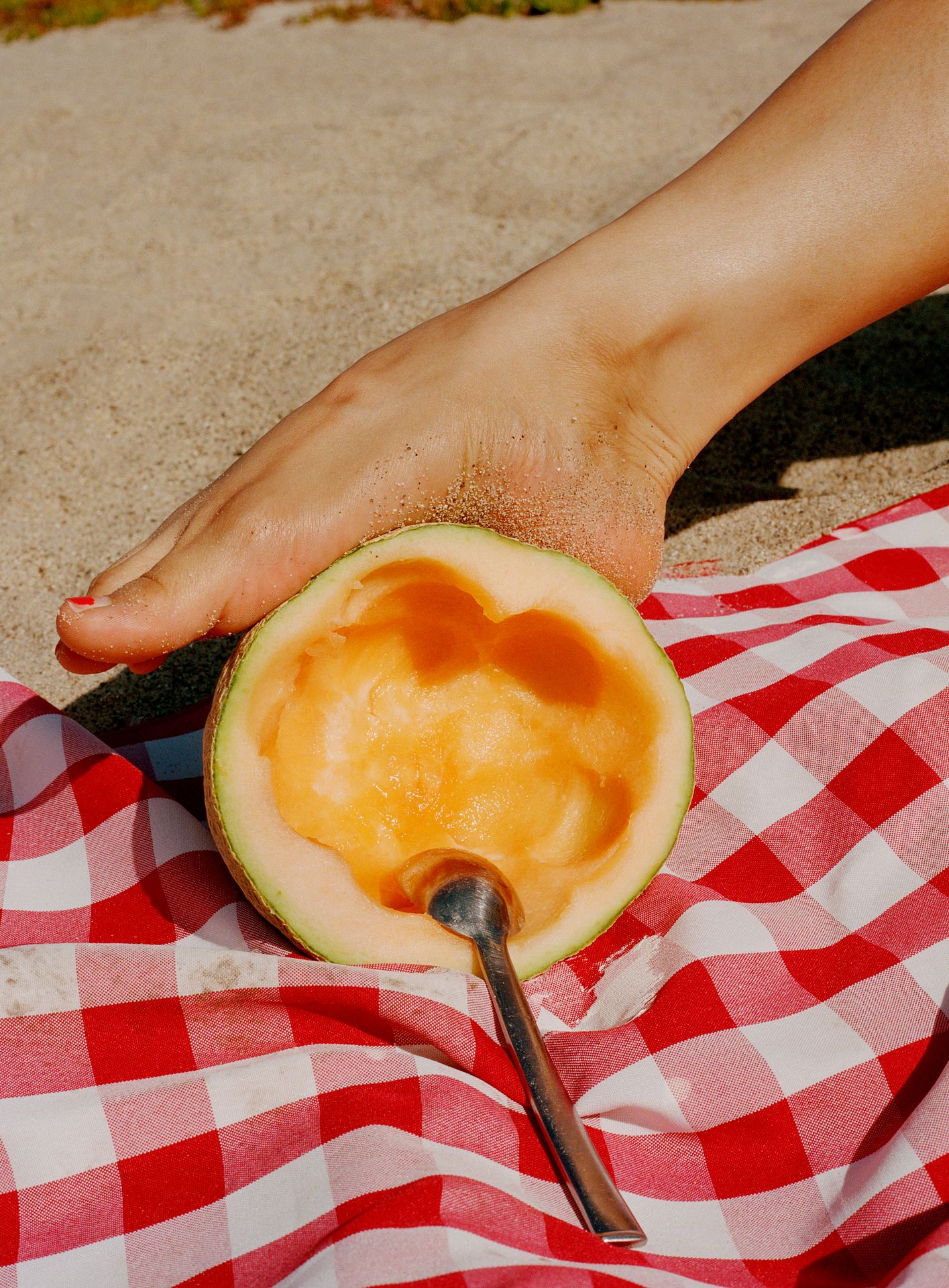 Vivian’s foot and scooped out cantaloupe. My Big Beach Book 