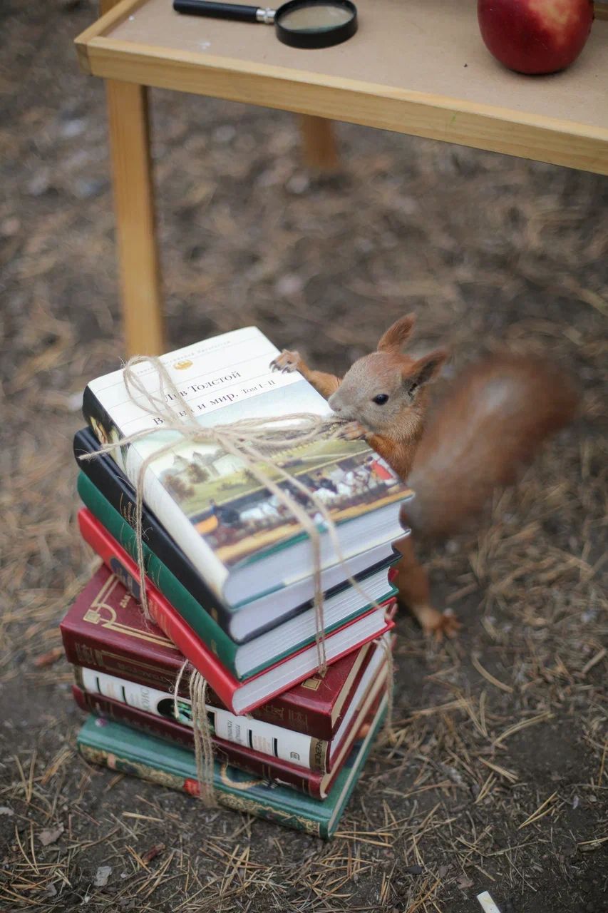 squirrel scientist