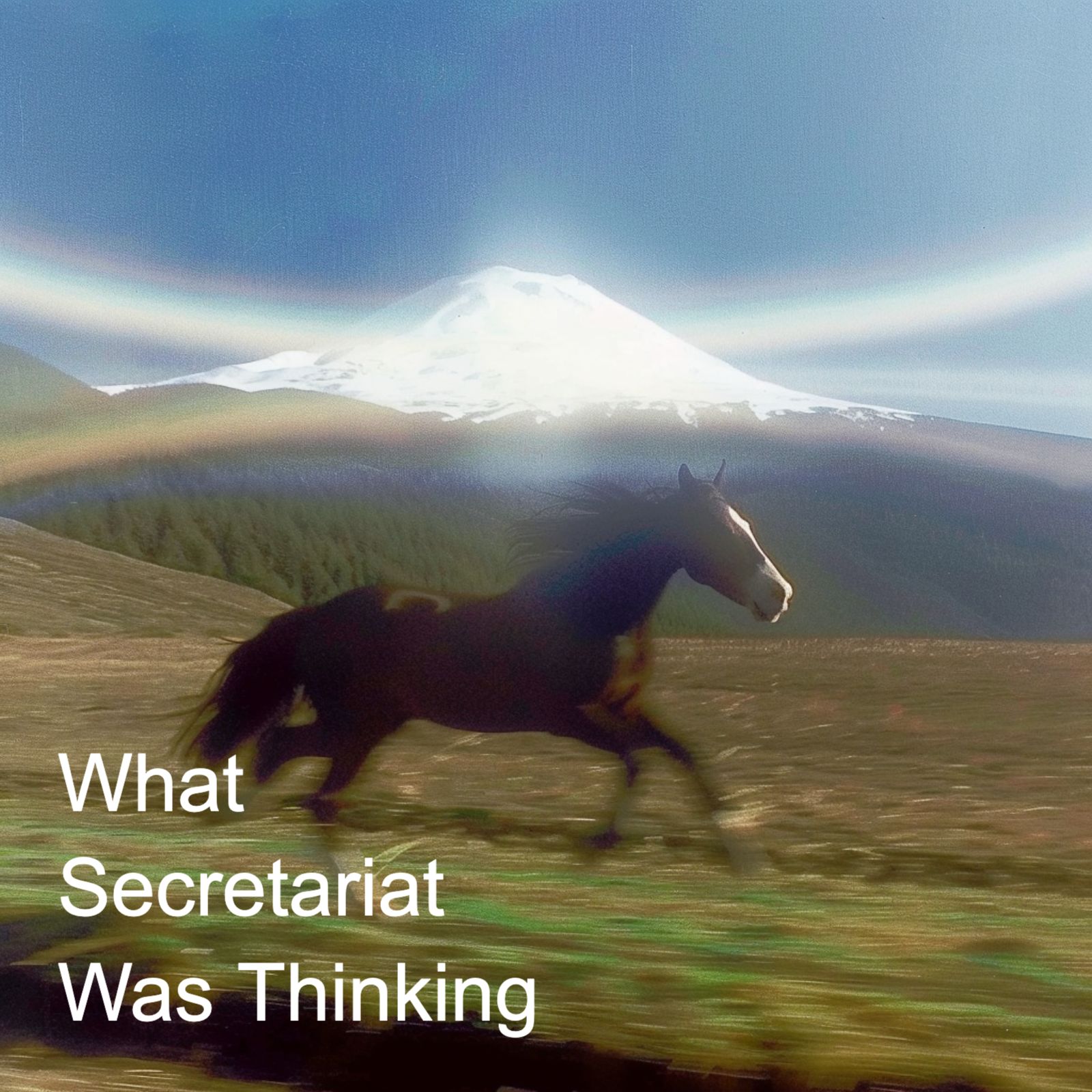 What Secretariat Was Thinking