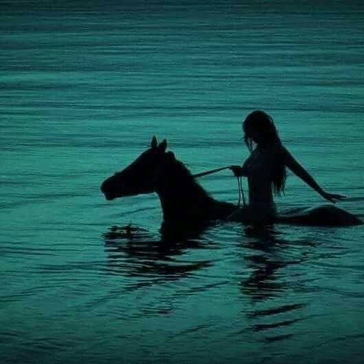 photo session with a horse in the water