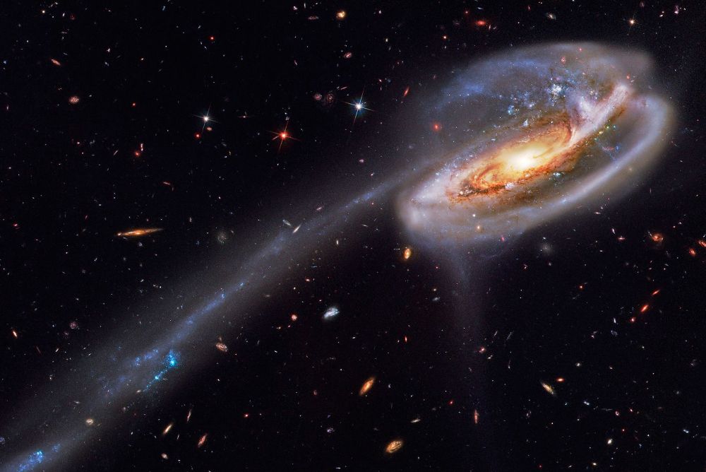 Tadpole Galaxy