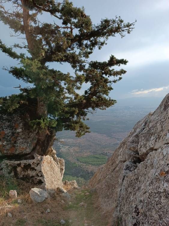 buffavento castle view