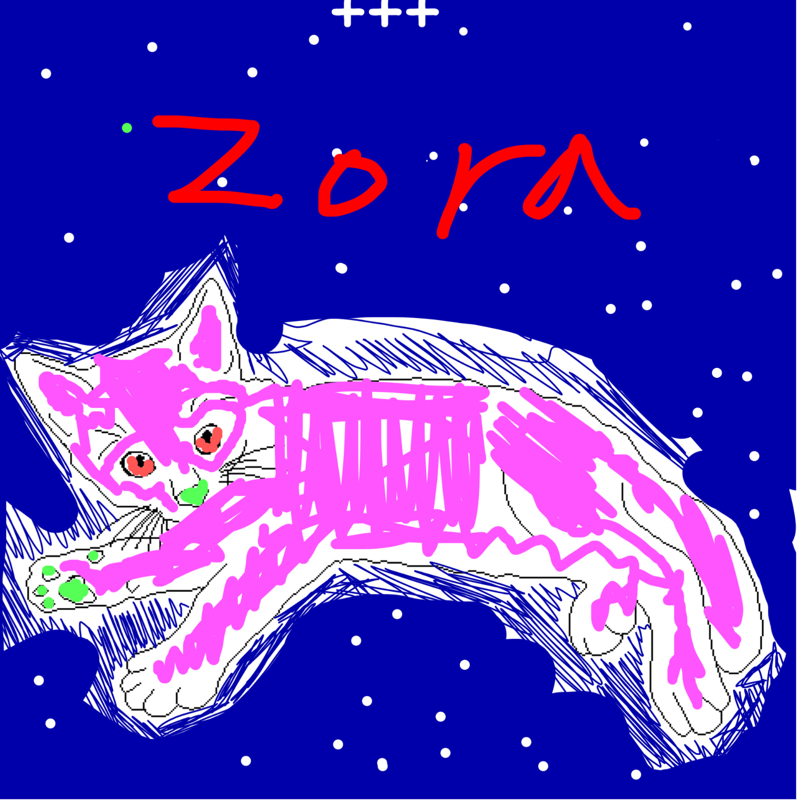 zoracat