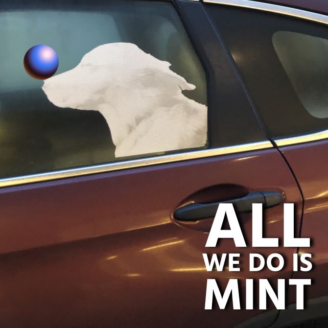 All We Do Is Mint · 𝗩𝗜𝗡𝗬𝗟 𝗗𝗢𝗚