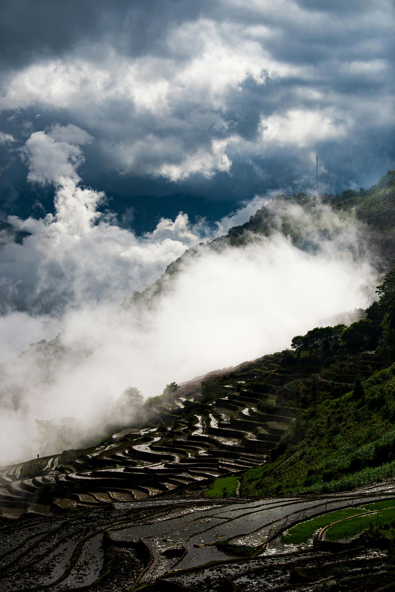 Bali mountains