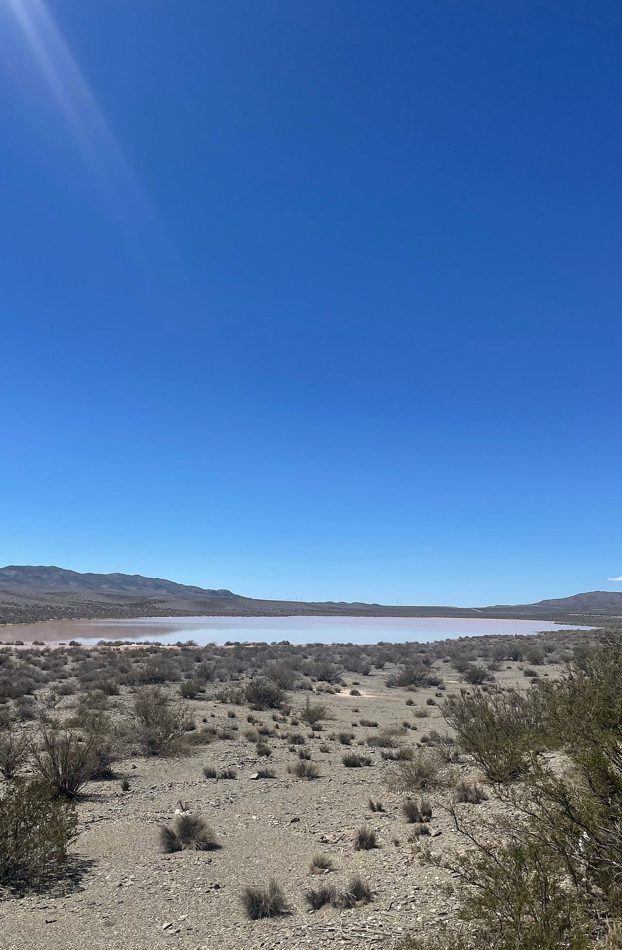 lluvia y desierto