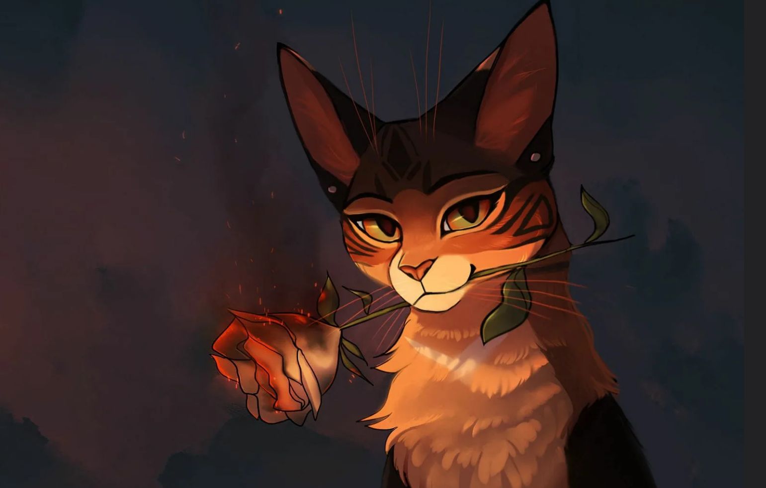 The warrior cat