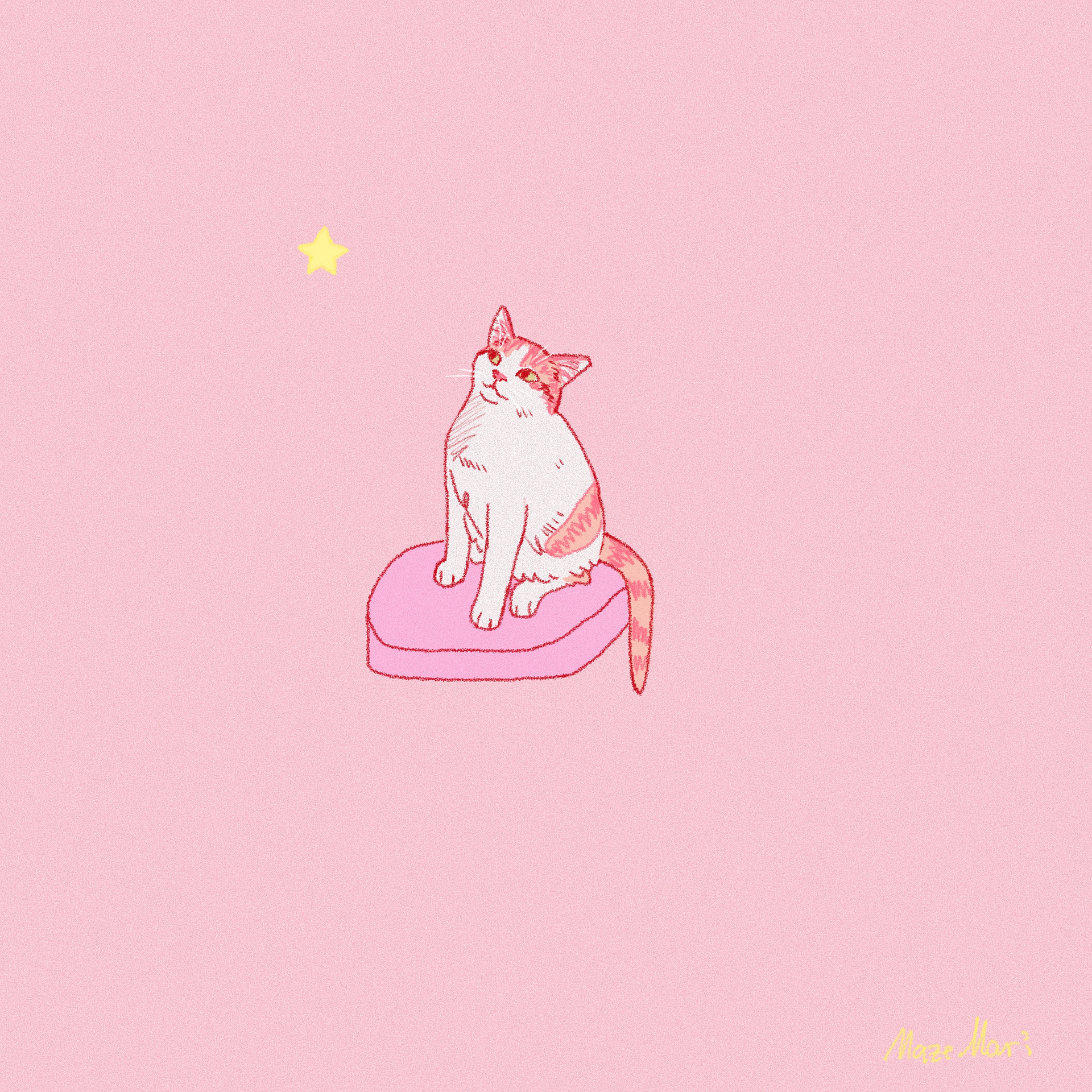 Tiny cat #2 . I’m forever grateful ✨