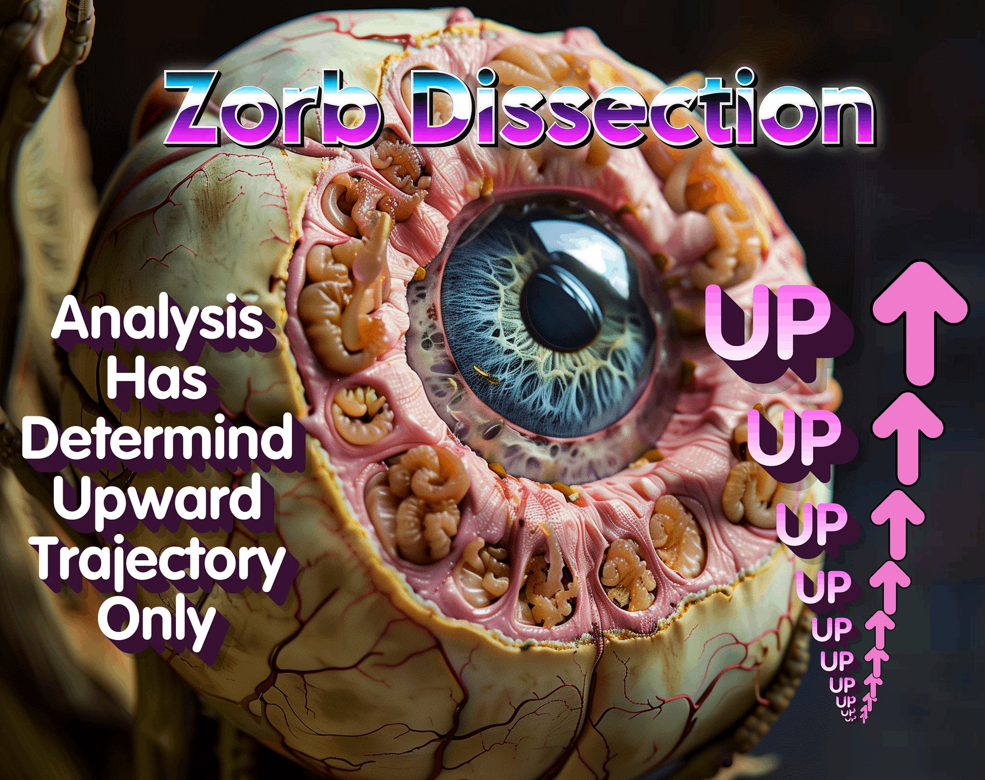 Zorb Dissection