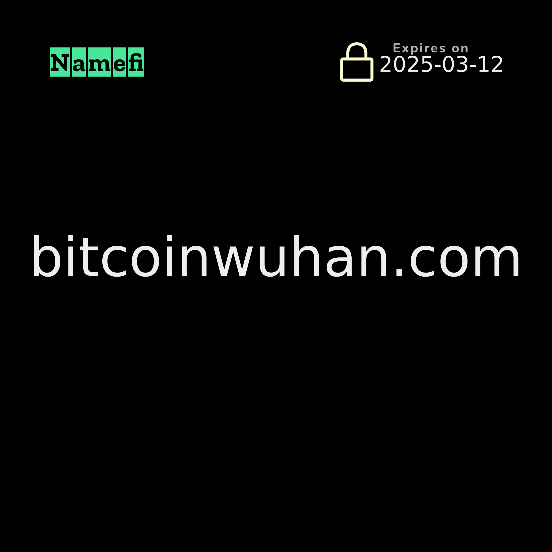 bitcoinwuhan.com